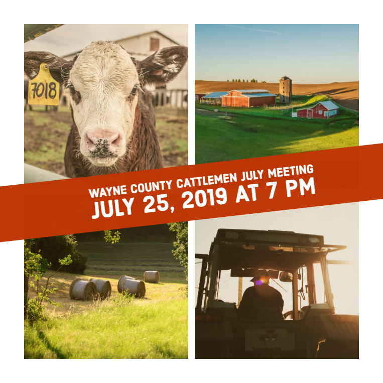 Wayne County Cattlemen July Meeting - July 25, 2019 at 7 p.m. - with four agricultural images of a calf, tractor, farm and hay bales.