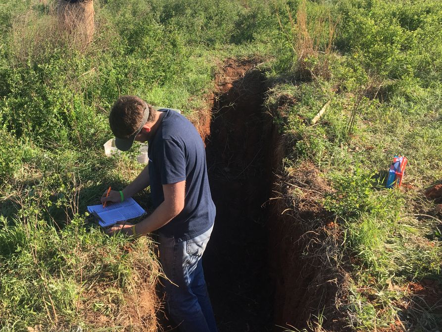 Monroe County land judging team member works from soil sampling pit during national competition
