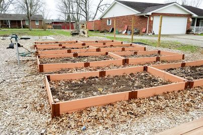 plot of wooden raised garden beds in community garden