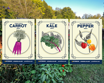 Seed packets from Grow This 2023: Cosmic purple carrots, red ursa kale and mini bell peppers.
