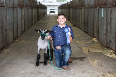 4-H member with a lamb and blue ribbon in a barn