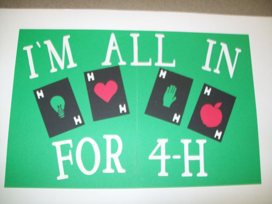 I'm all in for 4-H