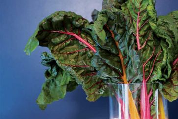 Swiss chard greens with red and white stems sit in a jar.