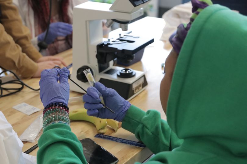 Girl in green hoodie wearing latex gloves holds up a test tube.