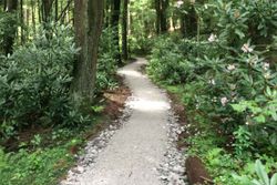 Like a pathway in a lush forest, sustainable tourism requires communication and collaboration to build a mentality of "haves" and "cans" in rural areas of places like WV to not be seen as competing for precious resources.