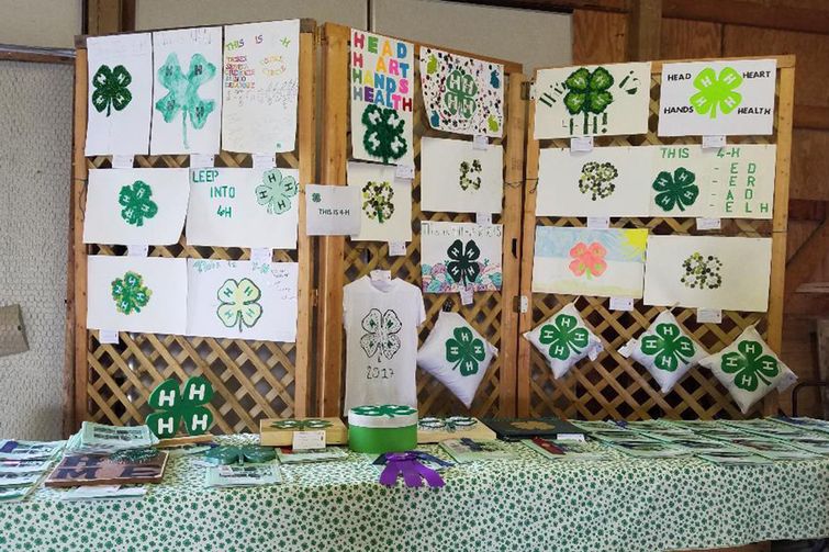 4-H project exhibits