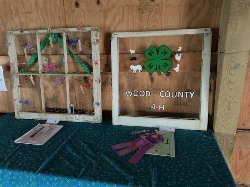 4h exhibit wood county