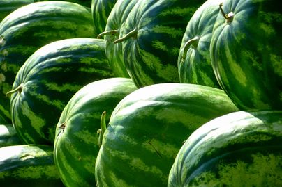 Watermelons up close.
