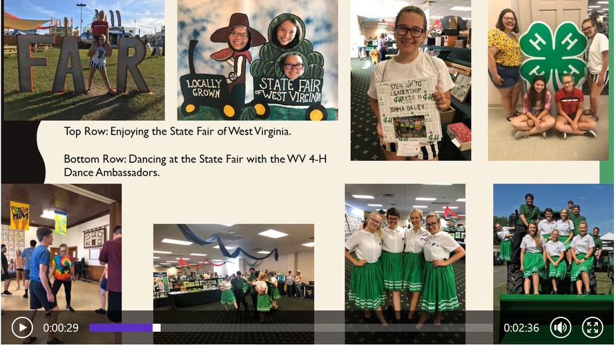 Wood County Virtual State and County 4-H Exhibit Results ...