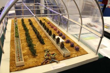 Photo of a table-top high tunnel diorama with model plants inside.