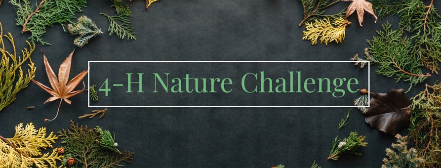 Wayne County 4-H Nature Challenge