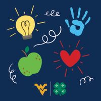 cartoon lightbulb, hand, heart, apple, squiggly lines, flying WV, and 4-H Clover