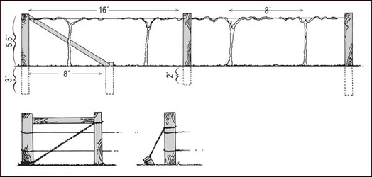 Construction details of a one-wire trellis and alternative methods of bracing end posts