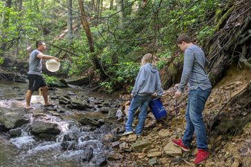Campers complete activity along creek at Conservation Camp.
