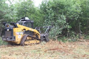Skidsteer with mulcher head used to set back succession.