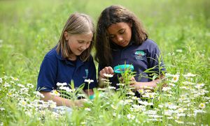 two kids in a field looking at the plants