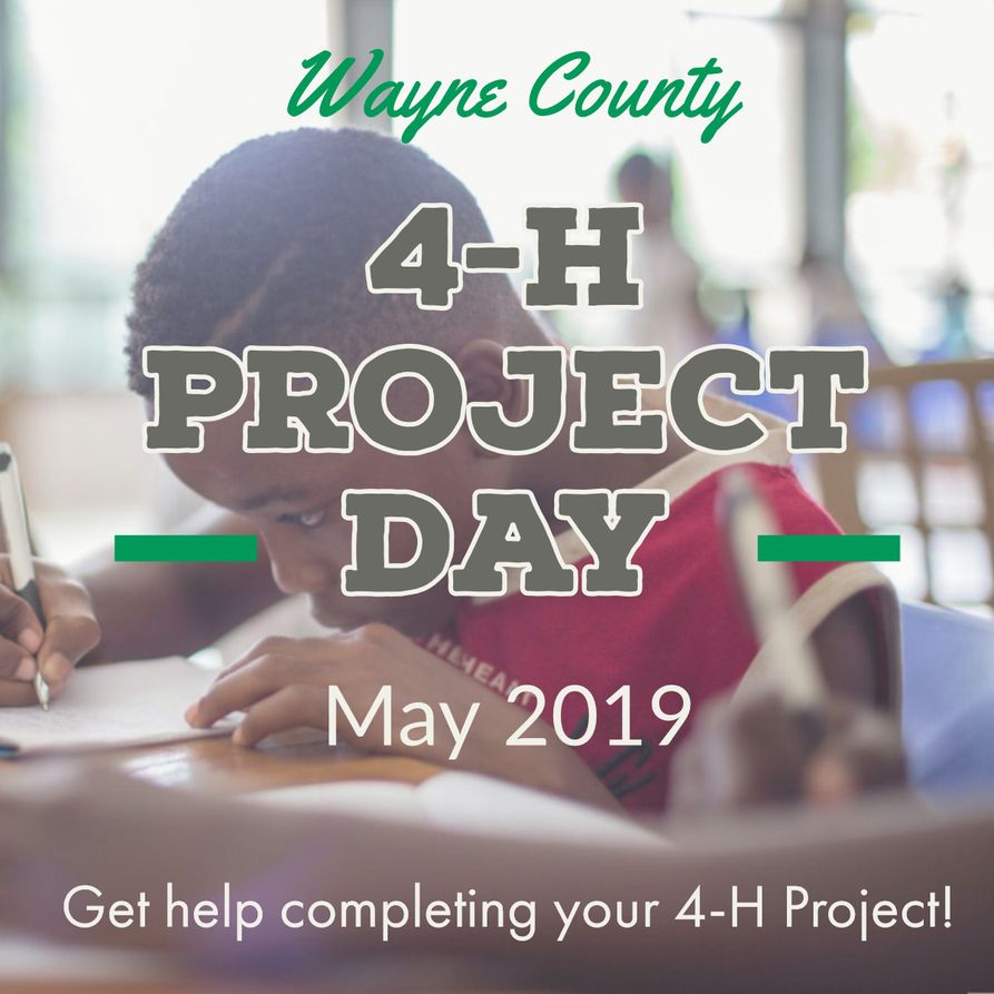 4-H Project Day