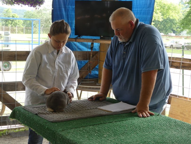 A girl showing her rabbit to the judge
