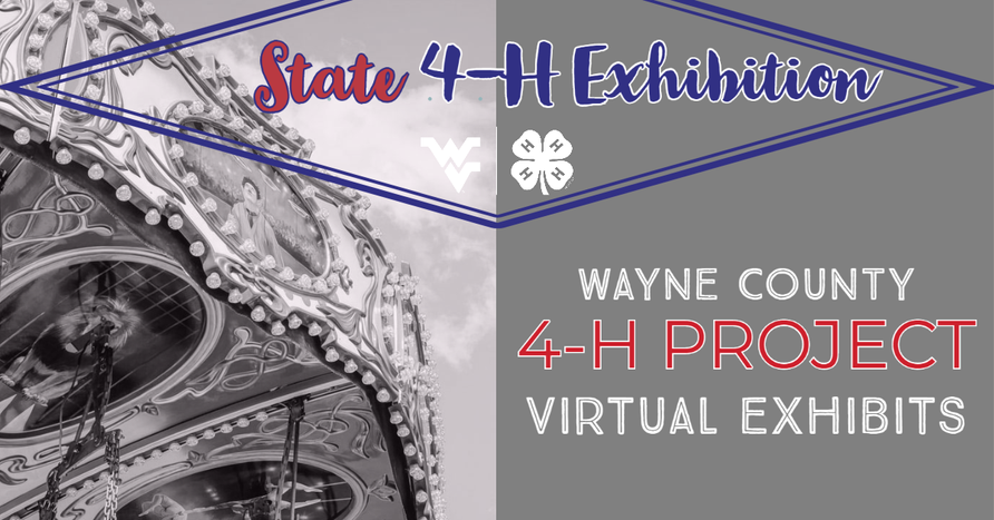 State 4-H Exhibition Wayne County 4-H Projects Virtual Exhibition