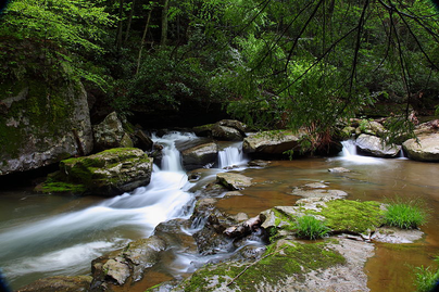 A rural stream shows WVU Extension's involvement with wisely using and protecting the state's Natural Resources.