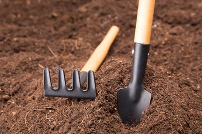 A rake and a shovel in a mound of dirt.