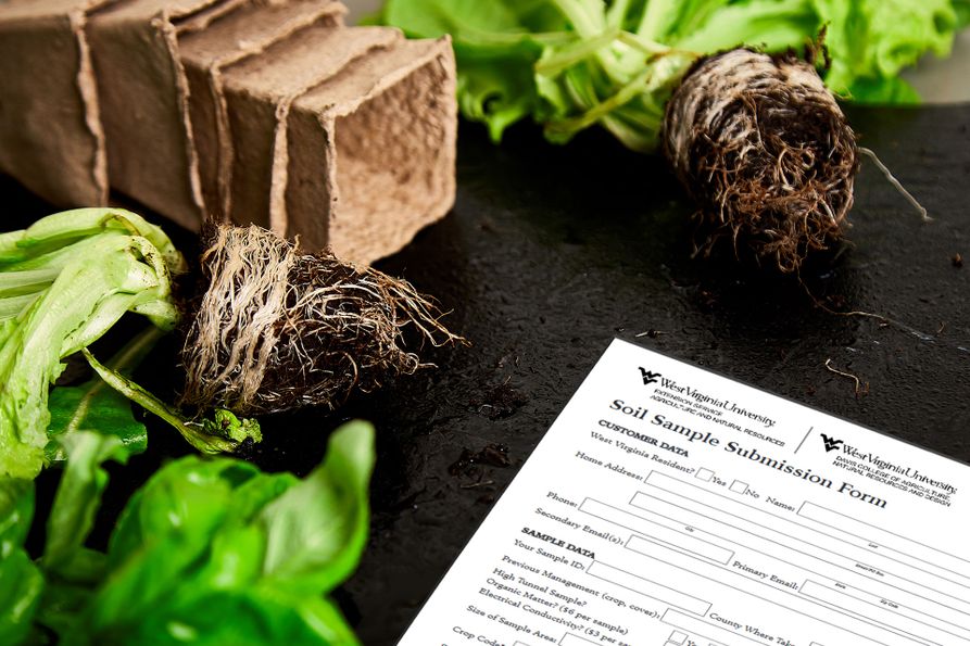 A copy of WVU's Soil Test Form sits on the ground amid plants and containers.
