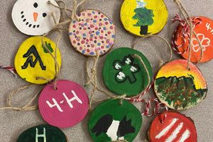 11 wood slices that have been painted as ornaments for the US Capitol Christmas Tree project