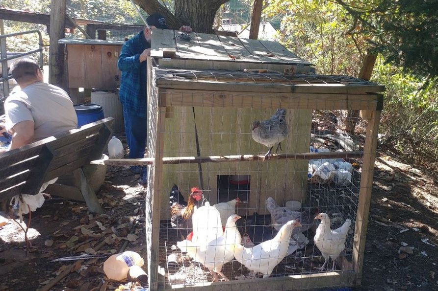 A chicken coop in action with people standing in the background.