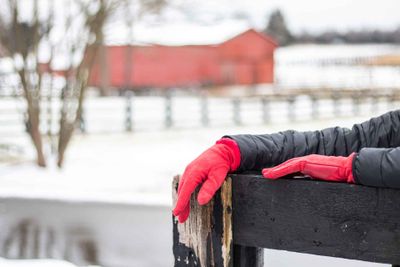 A person leans on a fence, wearing gloves in the winter, with a red barn visible in the background.