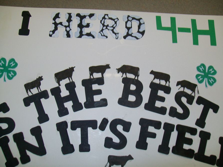 I herd 4-H is the best in it's field