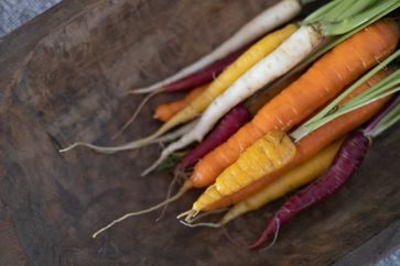 Garden Guide Colorful Carrots