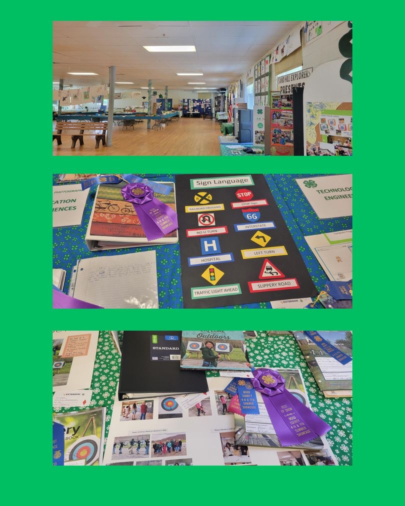 Pictures of 4-H still projects on display in Wood County, WV