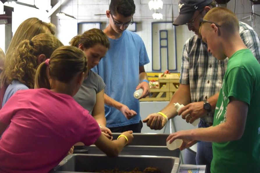 Ag agent works with Mason County 4H'ers