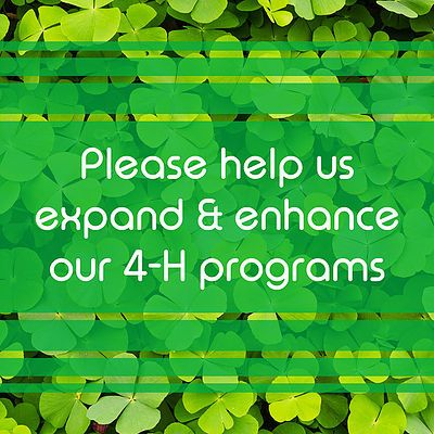 Growing Clovers - Please help us expand and enhance our 4-H programs.