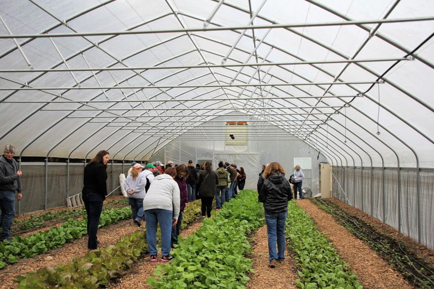 Female attendees of the 2018 Women in Agriculture Conference gather between rows of green plants in a high tunnel operated by Grow Ohio Valley in Wheeling as part of the farm and business tours.