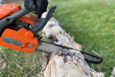 Chainsaw cutting into a downed tree.