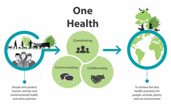 Diagram from of CDC.org outlining One Health. "People who protect human, animal, and environmental health, and other partners coordinate, communicate, and collaborate to achieve the best health outcomes for people, animals, planks, and out environment."