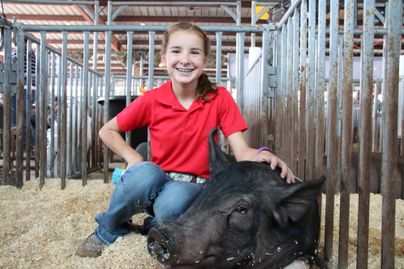4-H member with a hog in a pen