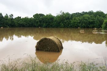 flood hay bale