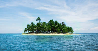 Island with trees and sand in a body of water